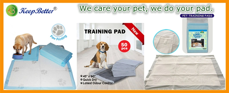 High Quality Odor Control Anti-Moisture Active Carbon Fiber Bamboo Charcoal Disposable Pet Puppy Dogs PEE Training Sanitary Pads